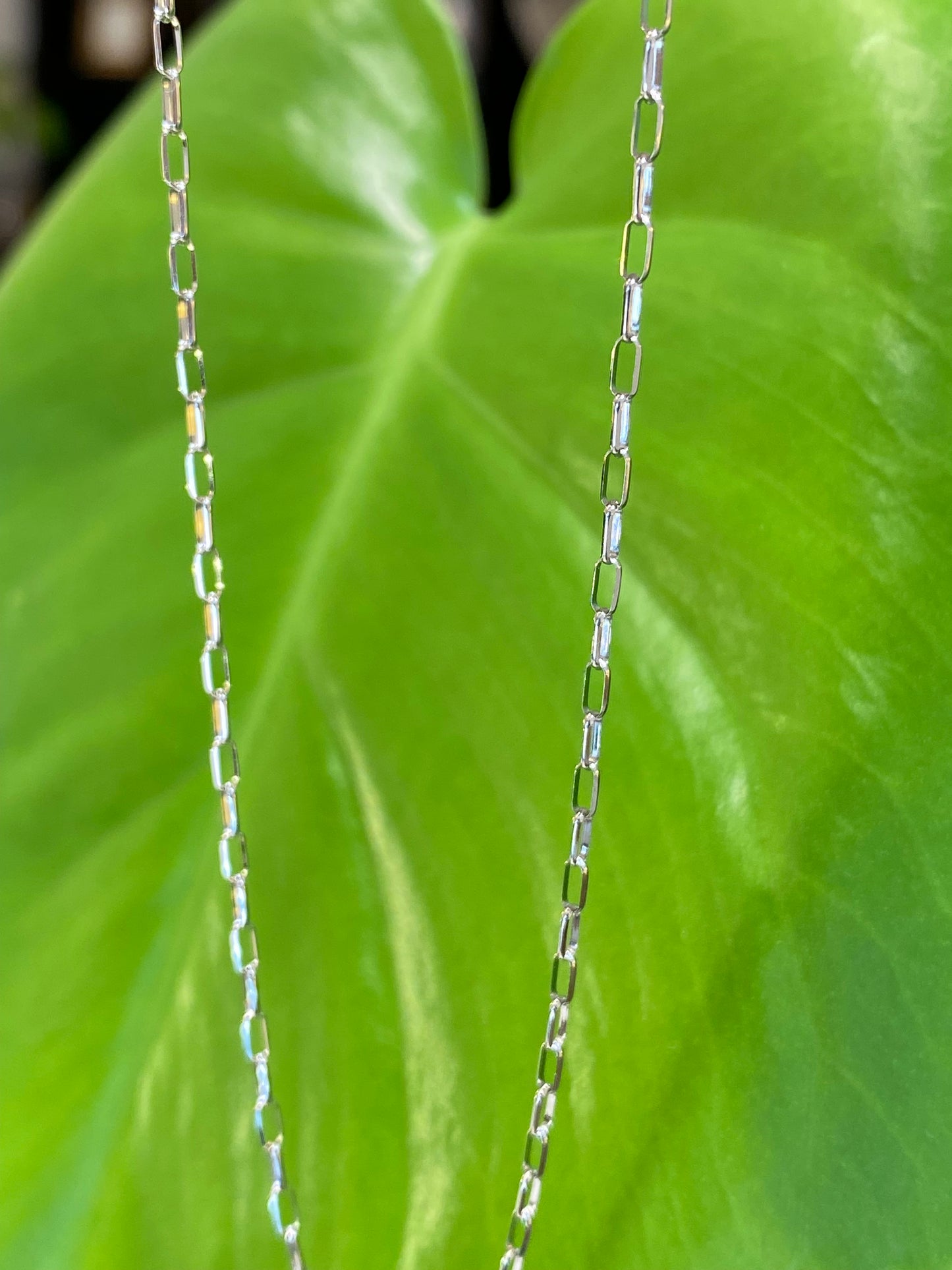 Ptハーフラウンドロングネックレス